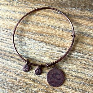 Alex and Ani Aquarius Copper Charm Bracelet
